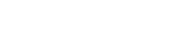 Femasys Logo